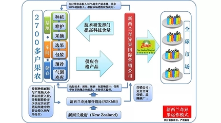 打造区域公用品牌,看“新西兰奇异果”如何突击|★先行品牌★先行策划|品牌策划|广告设计|营销咨询|营销战略|内蒙古广告|广告创意|创意设计|Logo设计|标志设计|包装设计|产品设计|品牌定位|I设计|形象设计|形象策划|品牌策略|品牌推广|差异化定位